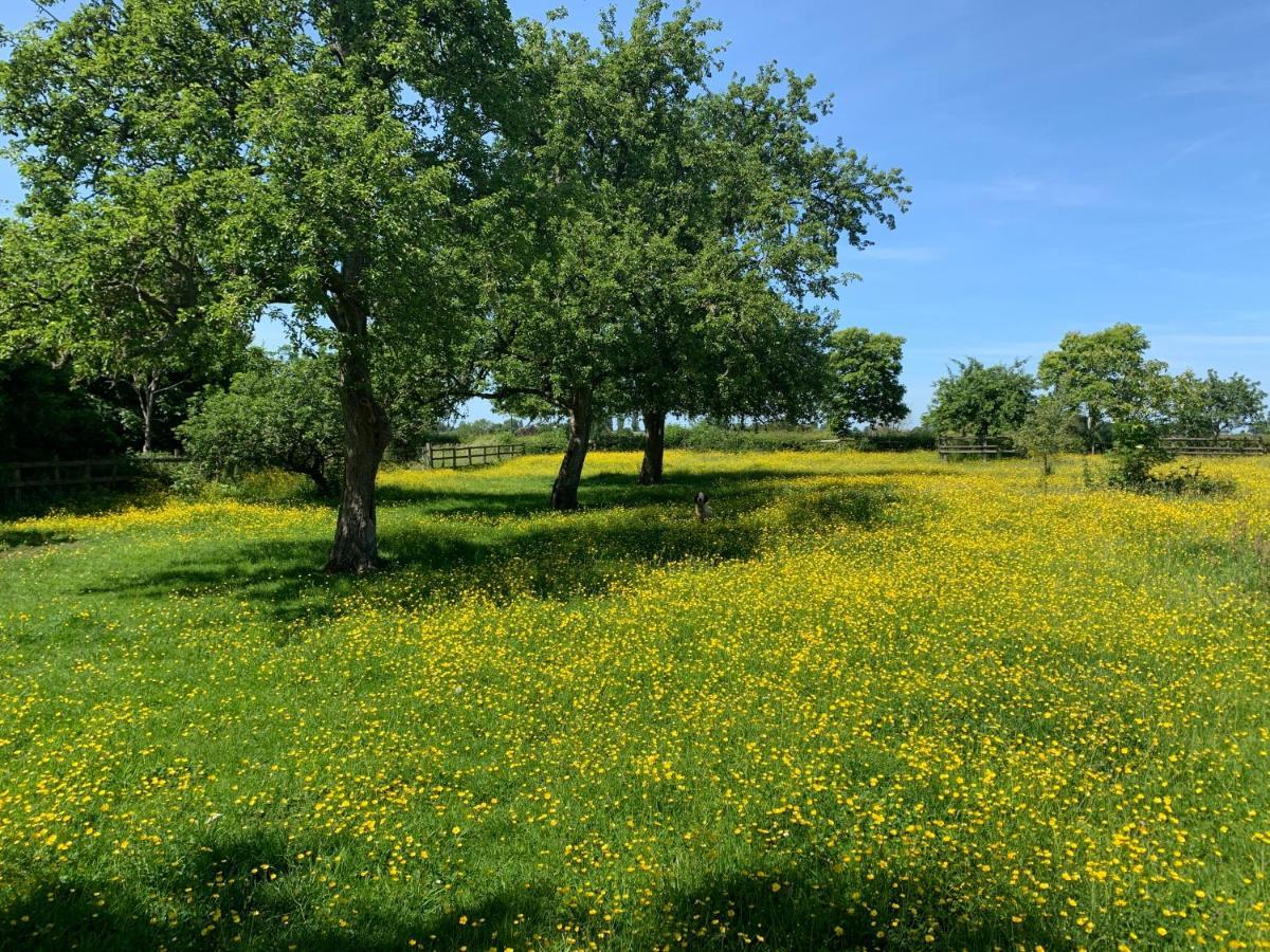 Beautiful Rural Apt, Walking Distance To Three Choirs Vineyard/Brassiere Gloucestershire Apartment Newent Ngoại thất bức ảnh
